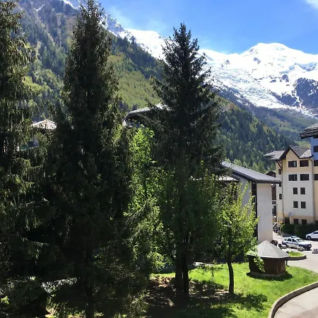 Face Au Mont Blanc